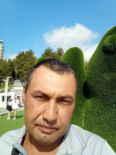  ,   Ulmas, 46 ,   ,   