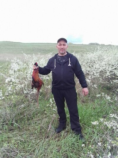  ,   , 46 ,   ,   