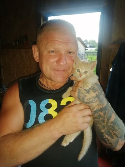  ,   , 53 ,   ,   