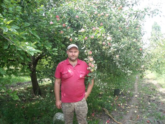  ,   , 38 ,   ,   , c 