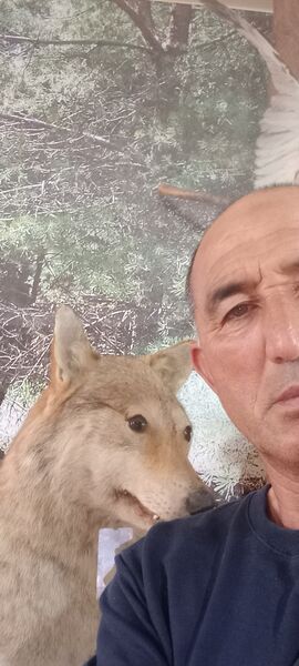   ,   , 55 ,   ,   