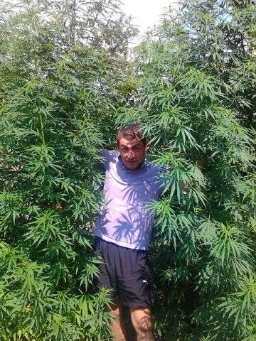 ���������� ���������, ���� ������� Mexo, 40 ���, ������������ ��� ������