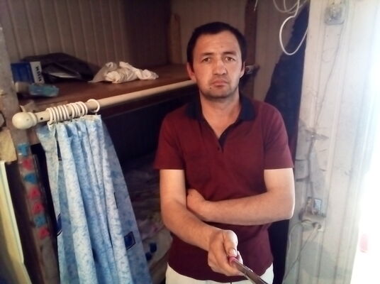  ,   , 43 ,  