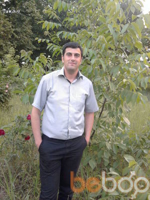  -,   Krasavcik, 41 ,   ,   , c 