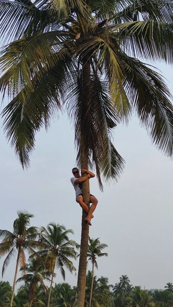  ,   , 35 ,   ,   , 