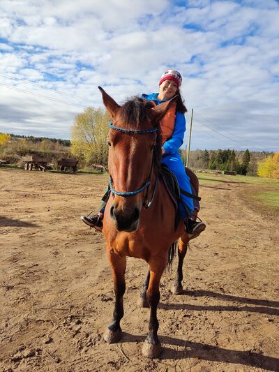  ,   , 82 ,   ,   , c , 