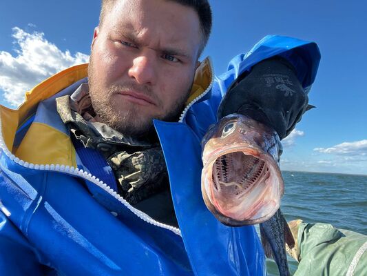  -,   , 25 ,   ,   , c , 