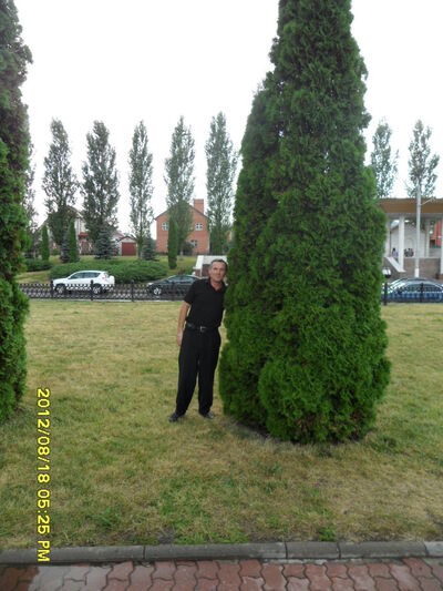  ,   , 54 ,  