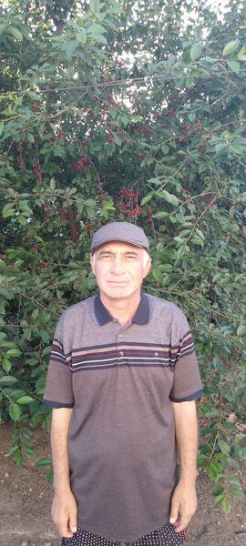  ,   , 54 ,   ,   