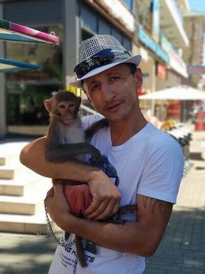  ,   Timur, 43 ,   ,   , c 