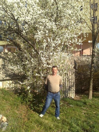  ,   , 53 ,   