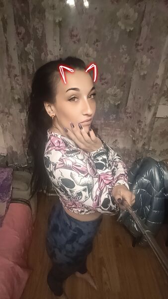  -,   , 33 ,   c 