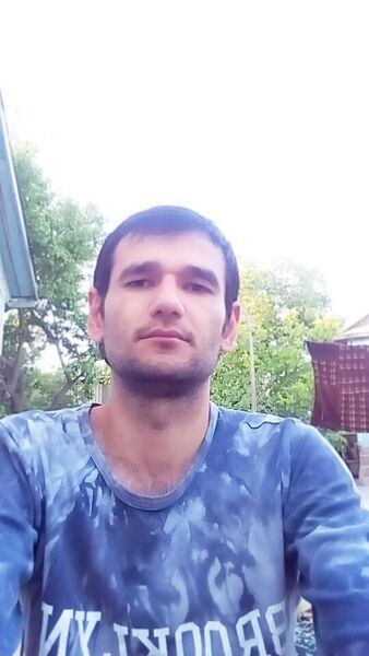  ,   MIRZO, 36 ,     , c , 