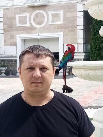  -,   , 41 ,   ,   