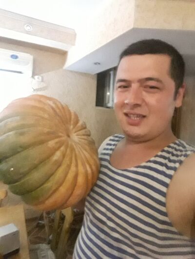  ,   , 37 ,   