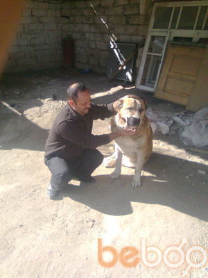  ,   Ilqar, 50 ,   