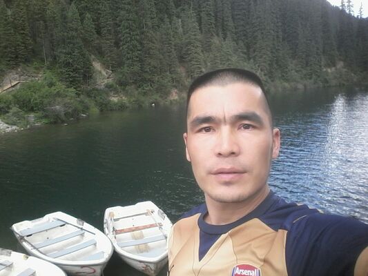  ,   Roma, 41 ,   ,   , c 