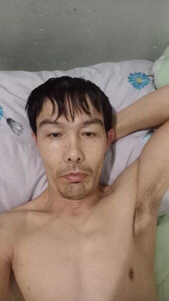  -,   , 41 ,   c 