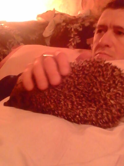  ,   , 53 ,     , c 
