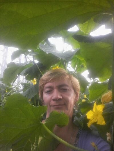  ,    , 46 ,   ,   , c 
