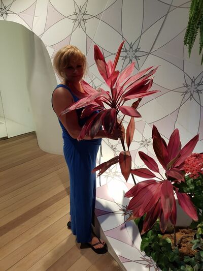  Hue,   , 49 ,   ,   