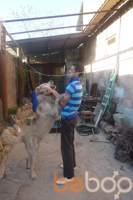  ,   Abo, 36 ,   