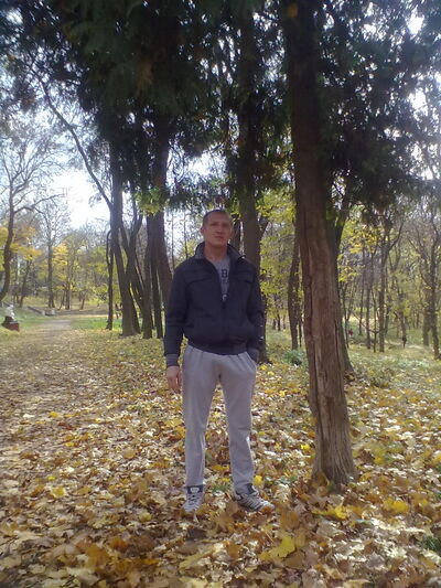  -,   , 43 ,   ,   , c 