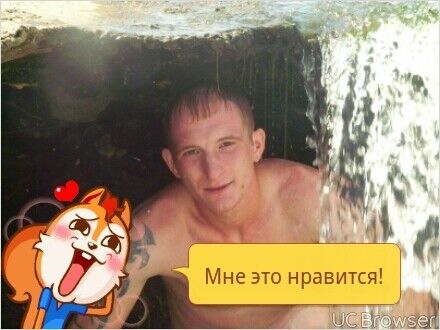  12065470  , 37 ,    