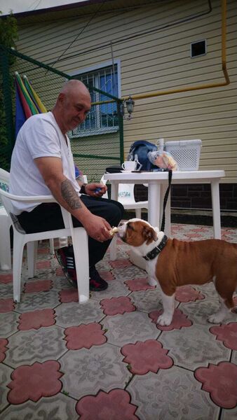  ,   , 53 ,   c , 