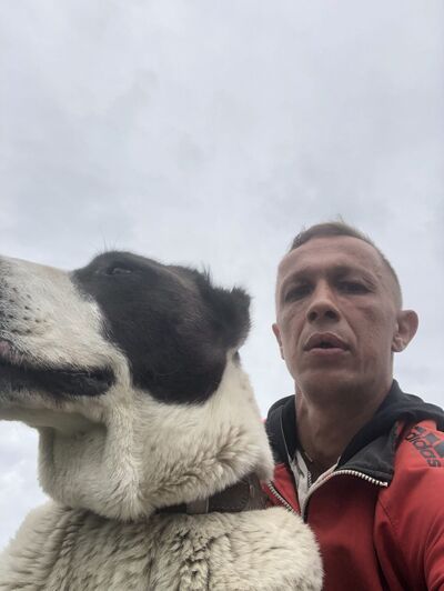  ,   , 40 ,   ,   , c , 