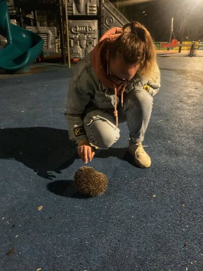  ,   , 25 ,   ,   , c , 