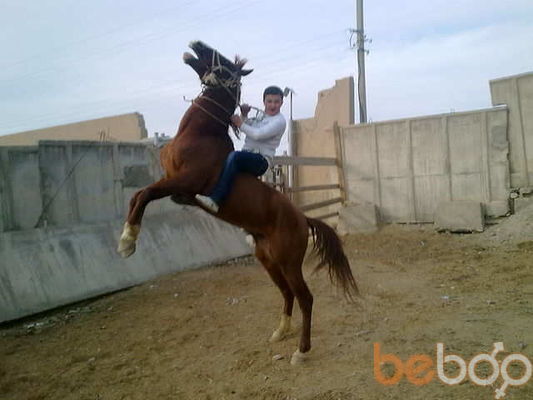  ,   Oqil4977778, 34 ,   