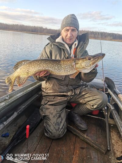  ,   Mikhail, 60 ,   ,   , c 