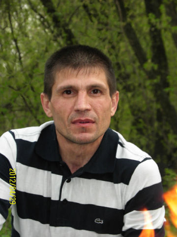  ,   Bars, 52 ,   