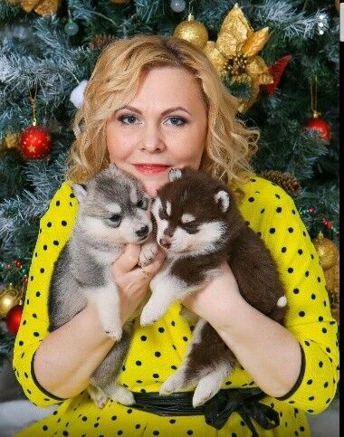  ,   LOVE, 43 ,   ,   , c 
