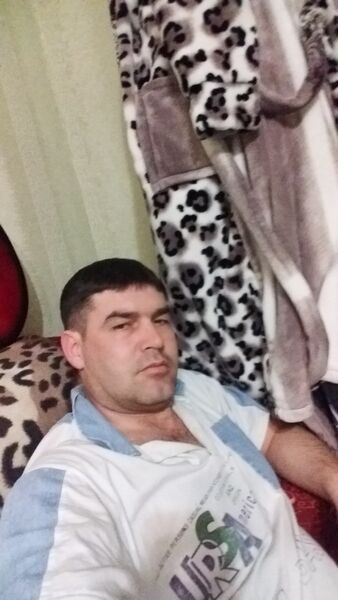 -,   , 41 ,  