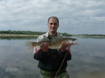 ���������� ������ ��������, ���� ������� ����, 47 ���, ������������ ��� ������, ����� � ���������, c�������� ���������, ���������