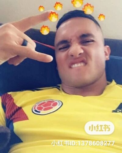  Backa Topola,   Brandy, 34 ,   ,   