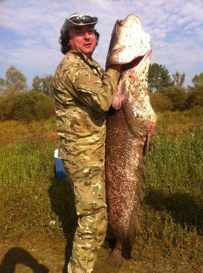  ,   Kirill, 46 ,   ,   , c 