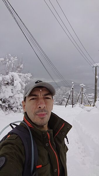 ,   , 43 ,   ,   