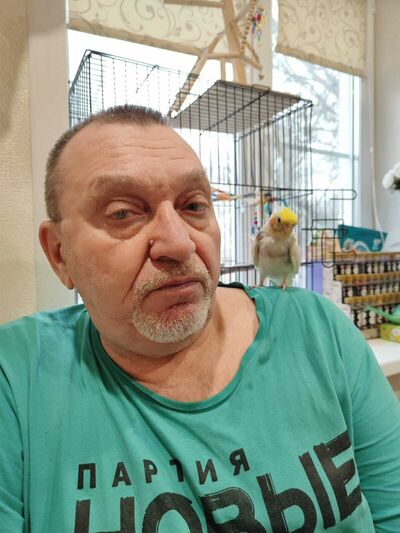  ,   , 62 ,     , c , 