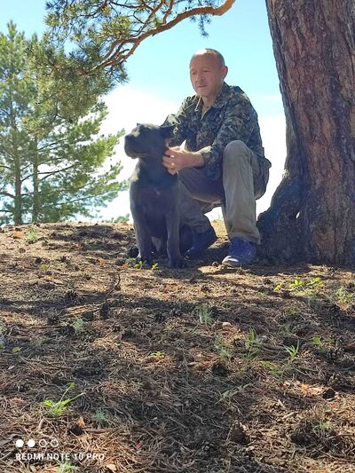  ,   , 51 ,   ,   , c 