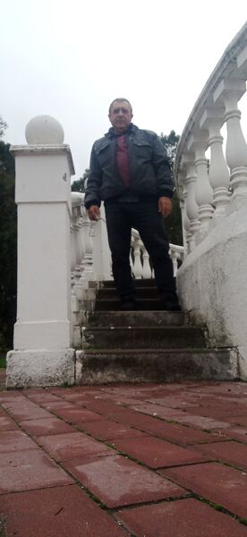  --,   , 29 ,   ,   