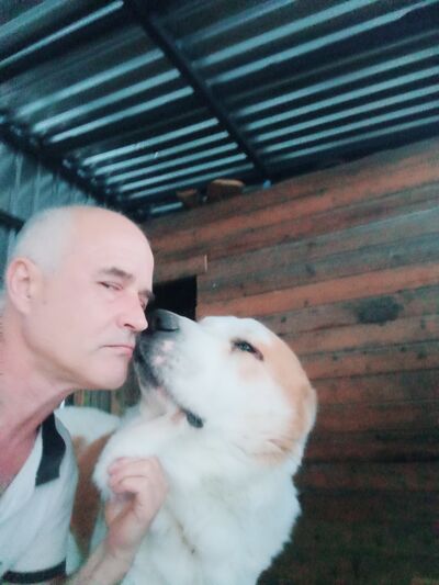  ,   , 55 ,   ,   , c , 