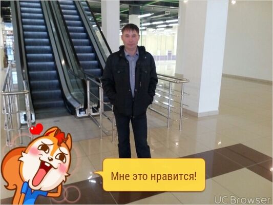  ,   , 53 ,   