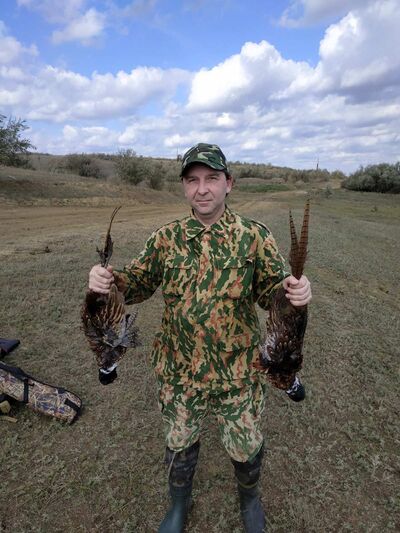  ,   , 53 ,   ,   , c 