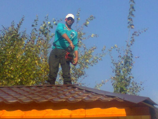  ,   , 37 ,     , c 