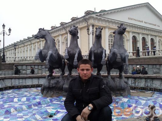 ,   Vitek, 31 ,   ,   , c 