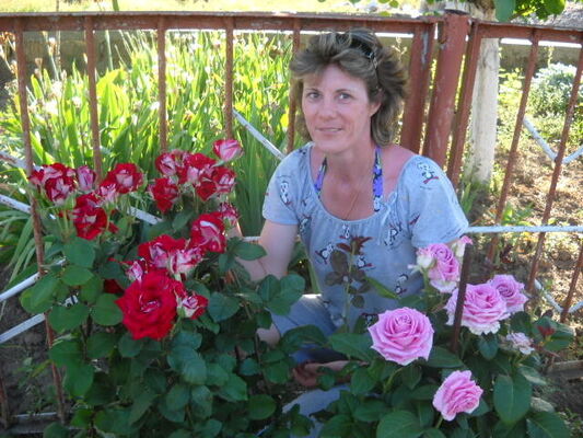  ,   , 50 ,   ,   