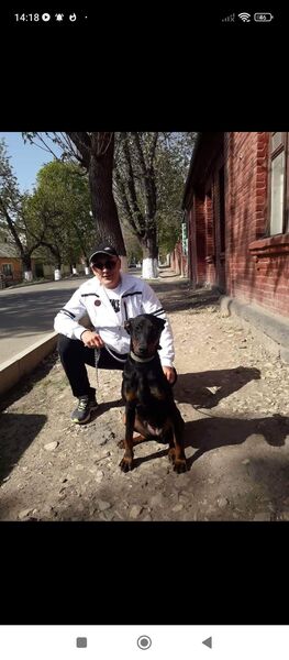  ,   Vadim, 50 ,   ,   
